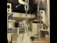 Slut getting tortured using a pain equipment